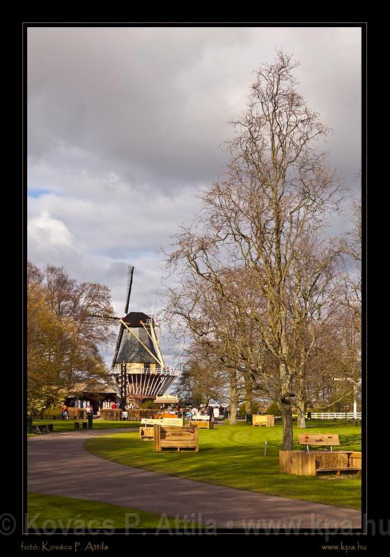 Keukenhof Hollandia 103.jpg